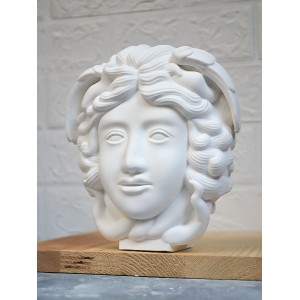 Dev Medusa Heykel Beton Medusa Büst