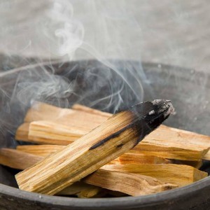 20 Gr. Palo Santo Tütsü Dahil Beton Gri Tütsülük veya Tütsü Tabağı