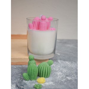 Kaktüs Teraryum Bardak Mum Kokulu Bardak Mum PEMBE